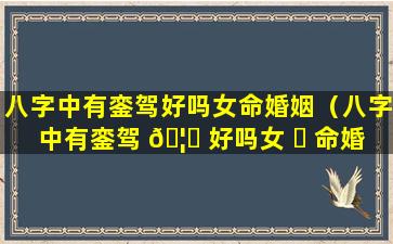 八字中有銮驾好吗女命婚姻（八字中有銮驾 🦍 好吗女 ☘ 命婚姻怎么样）